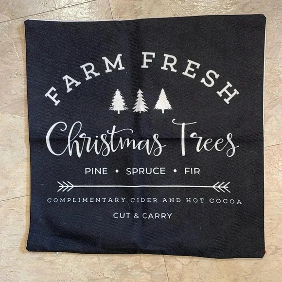 Other - Christmas Pillow Cover, 16 x 16, new